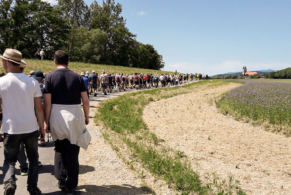 Eine Gruppe Menschen geht einen Feldweg entlang in Richtung einer Kirche